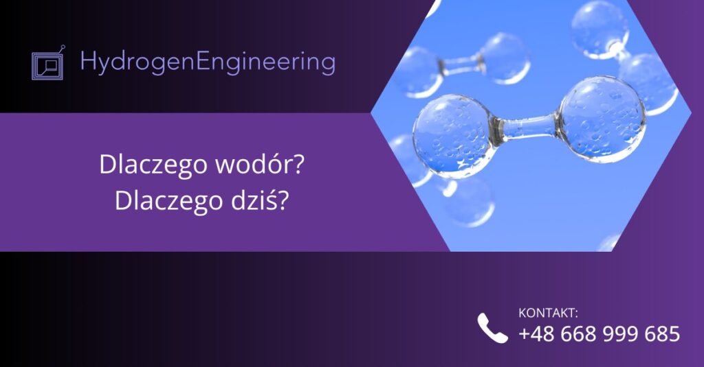 Dlaczego warto wybrać wodów?